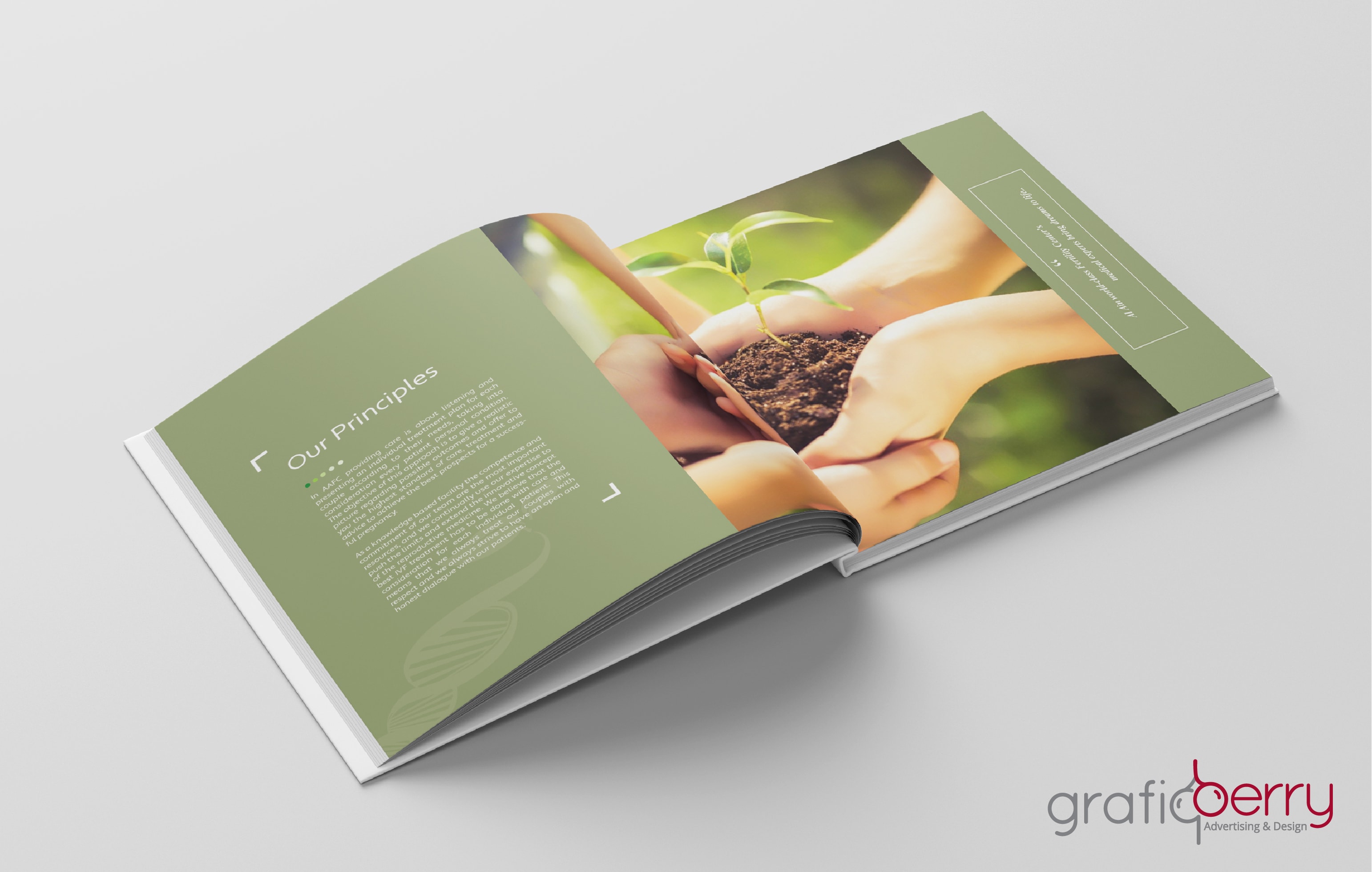 Grafiqberry